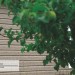 Сайдинг Ю-Пласт TIMBERBLOCK Пихта (Тимберблок) Cахалинская купить в Кемерово